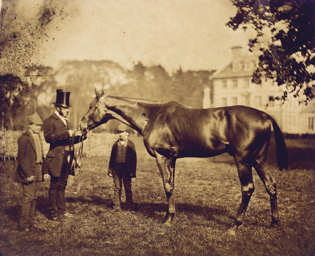 Wild Dayrell, vítěz Derby v roce 1856 od English Photographer