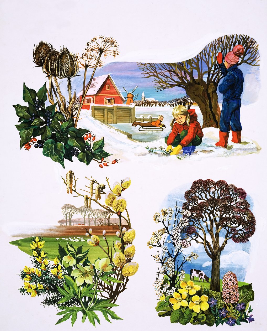 Kalendář rostlin, ilustrace z filmu "Bylo nebylo od English School