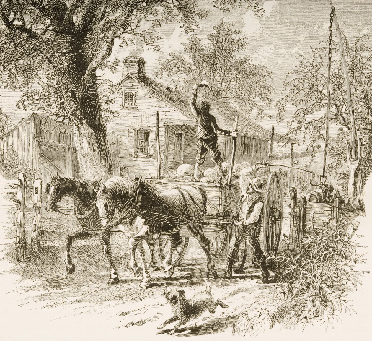 A Homestead v Kansasu, z 