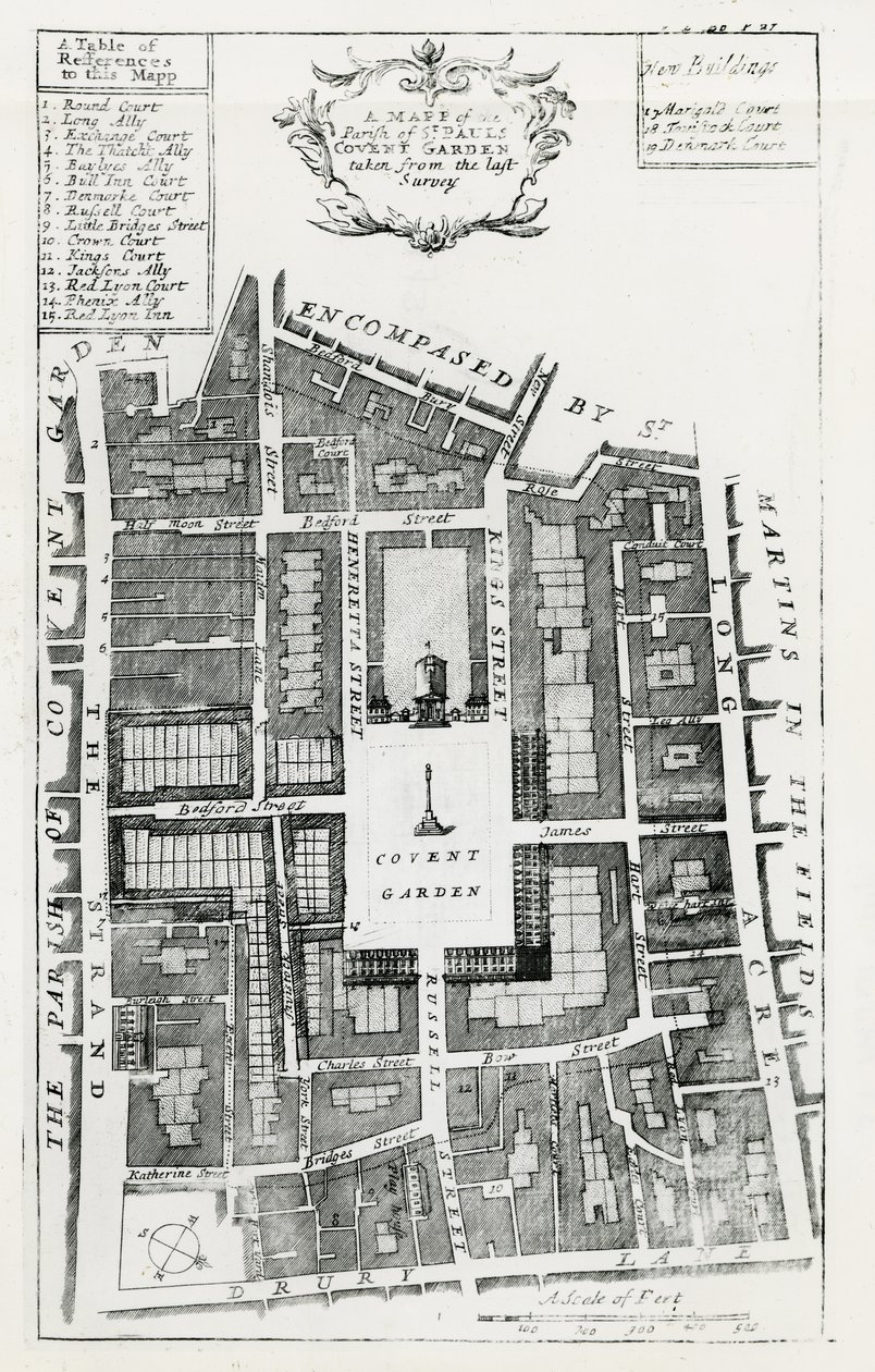 Mapa farnosti St Pauls Covent Garden převzatá z posledního průzkumu od English School