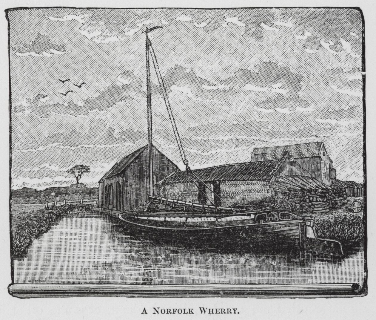 Norfolk Wherry (rytina) od English School