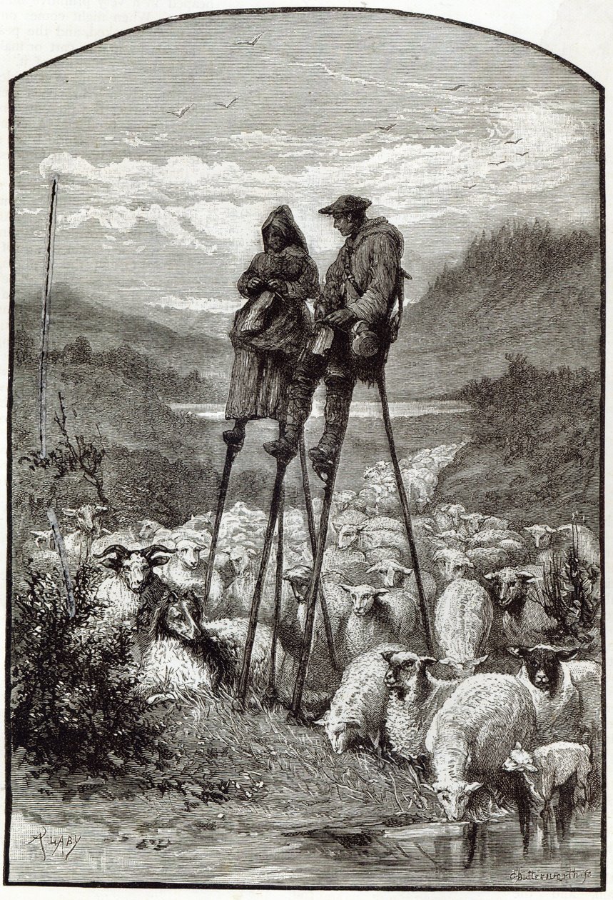 Pastorace v Landes, z „Hodina volného času“, 1891 od English School