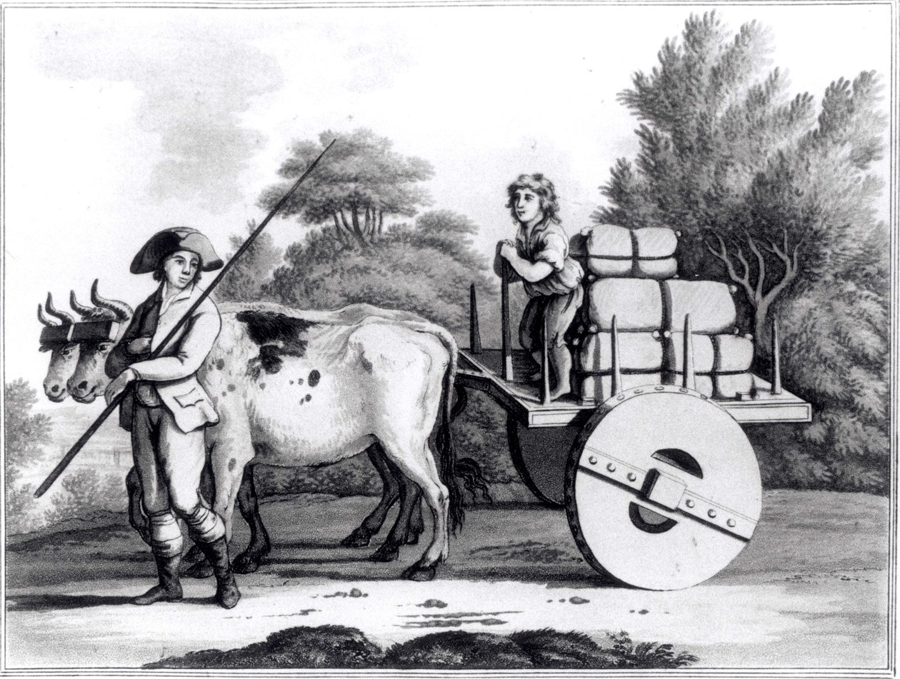 Portugalská farma, od A General View of the State of Portugal od Jamese Murphyho, publikoval 1797 od English School