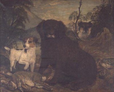 Vodní španěl a dva Jack Russells v denní tašce od English School