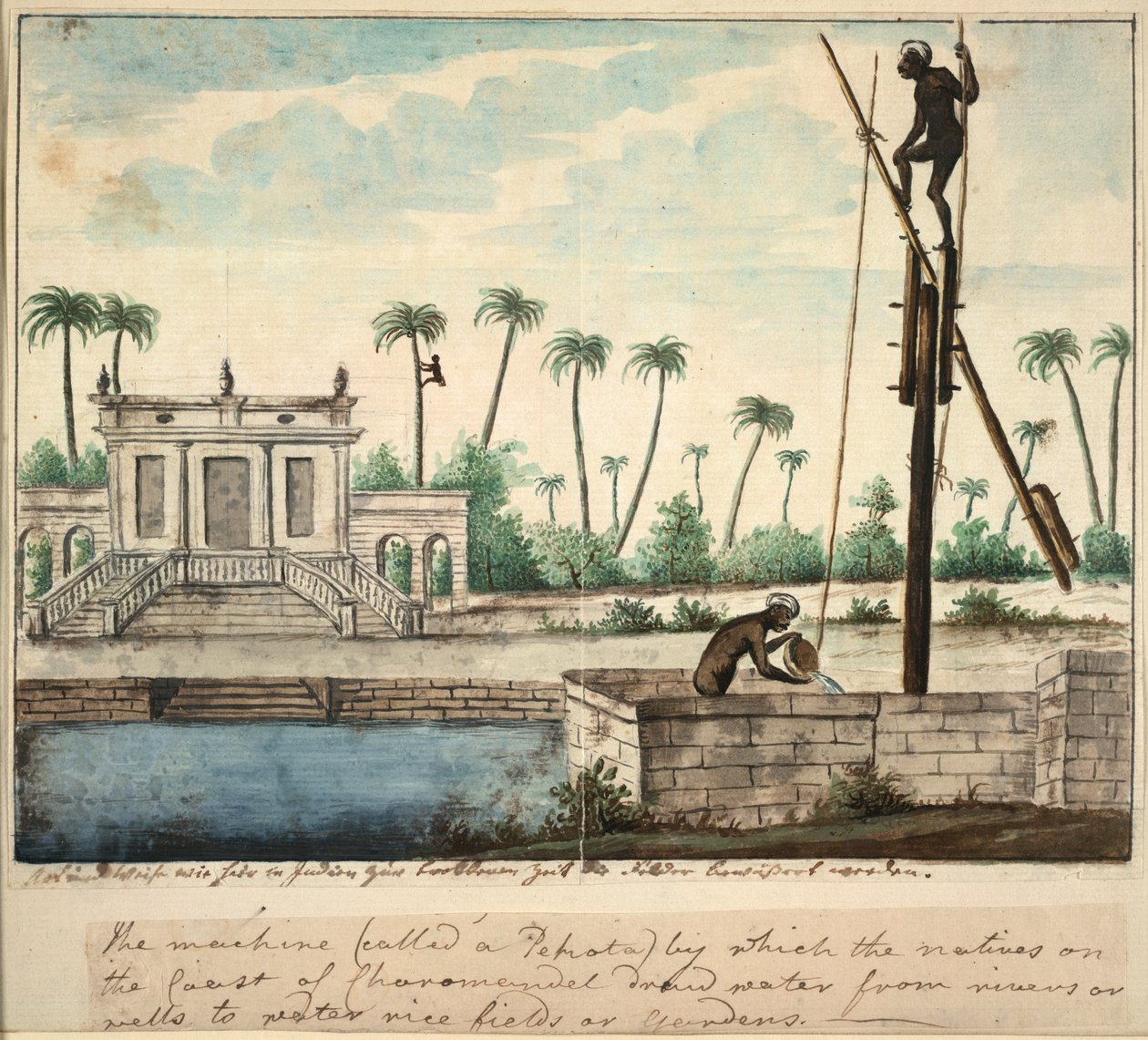 Koloniální zahrada zobrazující zavlažování, c.1787 (akvarel na papíře) od English School