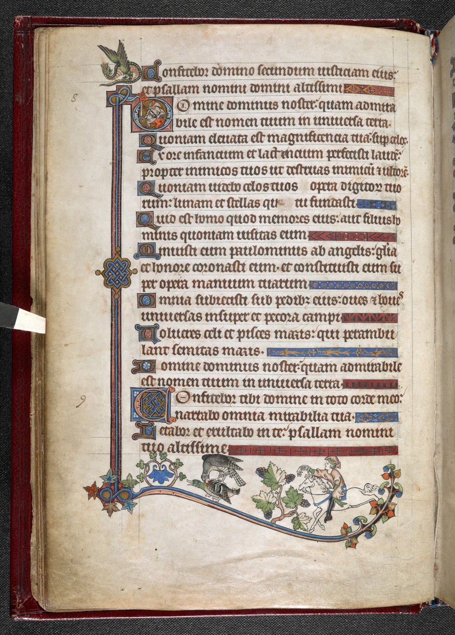 Přidat MS 24686, f.14v, Chlapec na poníkovi s kachnou na lovu sokolů, c.1284-1316 (vellum) od English School