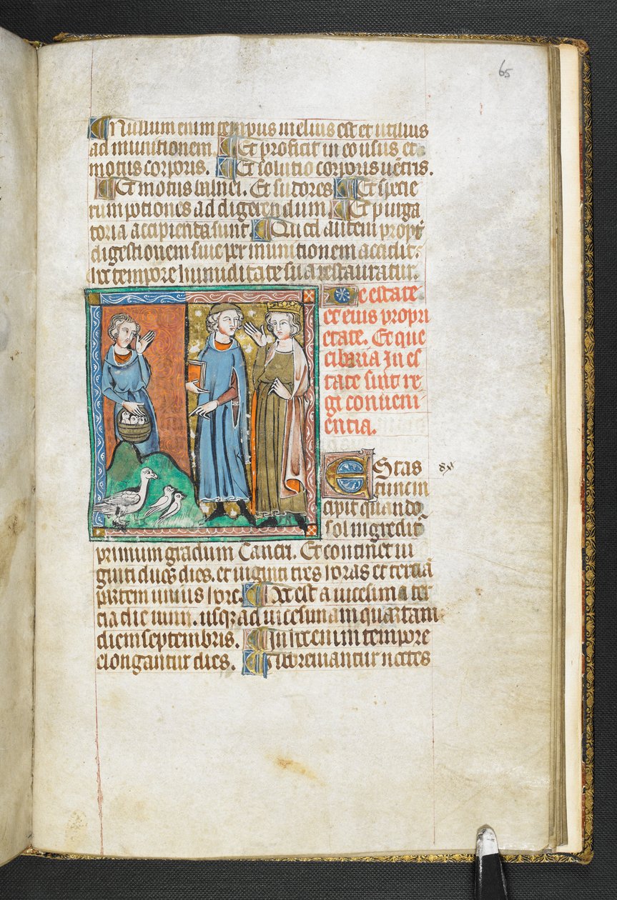 Přidejte MS 47680, f.65r Aristoteles ukazující na ptáky přinesené králi, z Secretum Secretorum, c.1326-27 (vellum) od English School