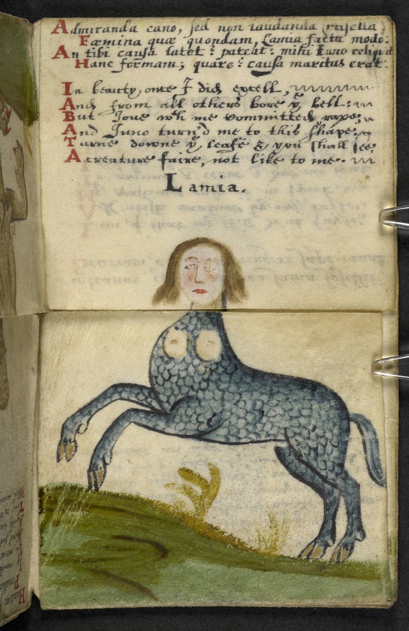 Přidat herní sešit MS 57312 f13 (inkoust a barva na pergamenu) od English School