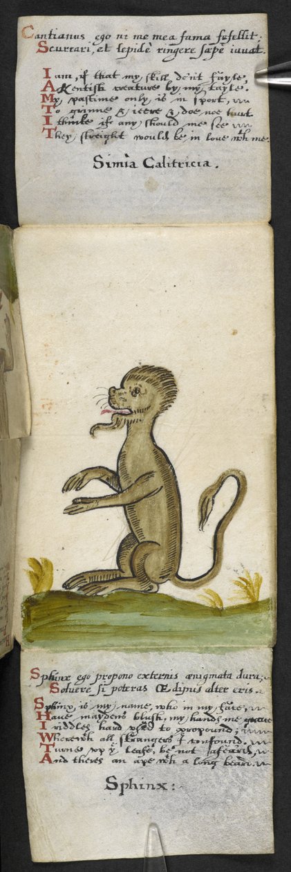 Přidat herní knihu MS 57312 f.14 (inkoust a barva na pergamenu) od English School
