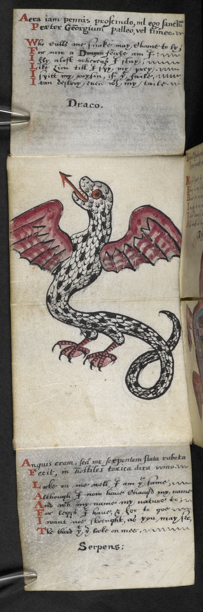 Přidat herní knihu MS 57312 f.3 (inkoust a barva na pergamenu) od English School