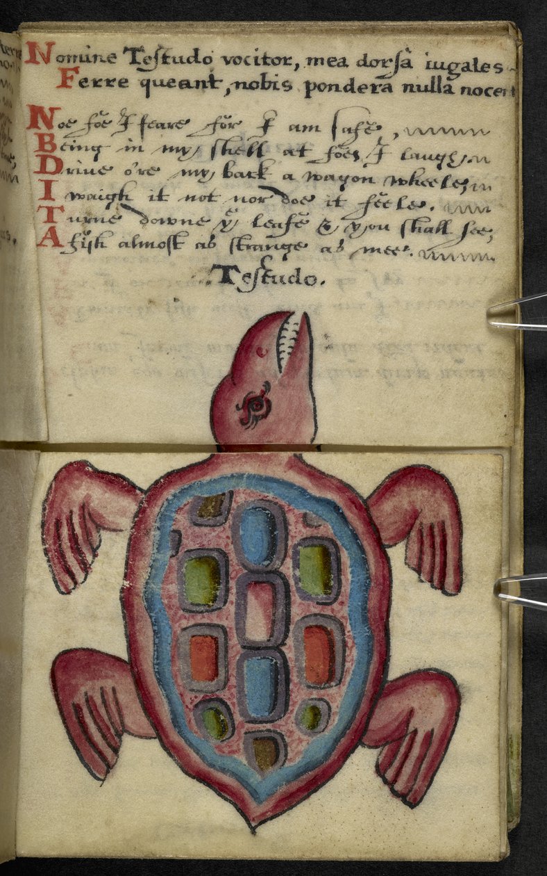 Přidat herní knihu MS 57312 f.5 (inkoust a barva na pergamenu) od English School