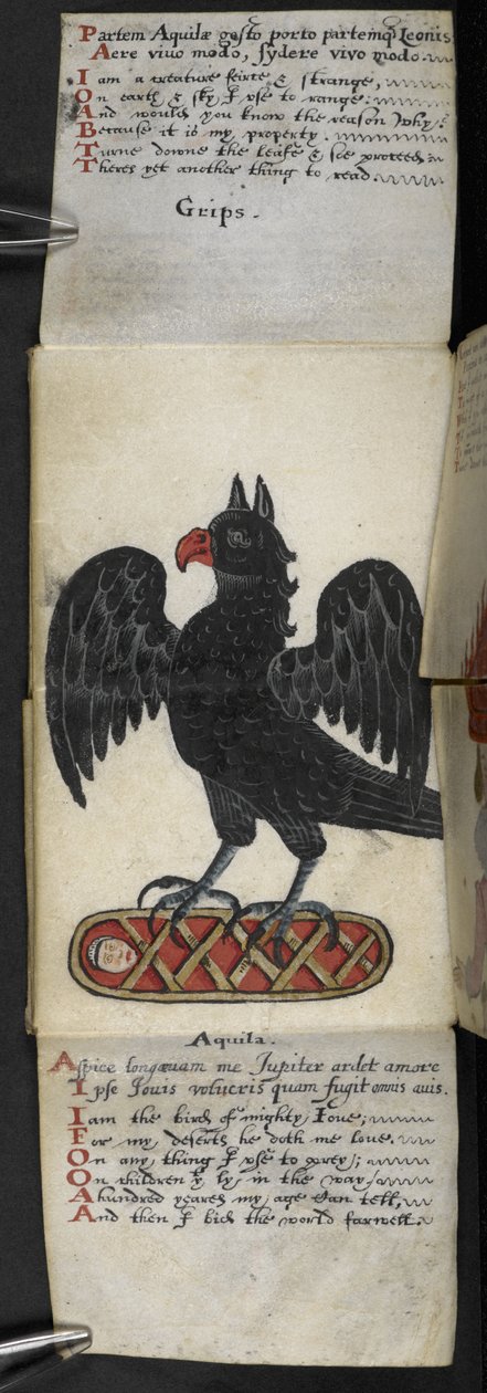 Přidat herní knihu MS 57312 f.8 (inkoust a barva na pergamenu) od English School