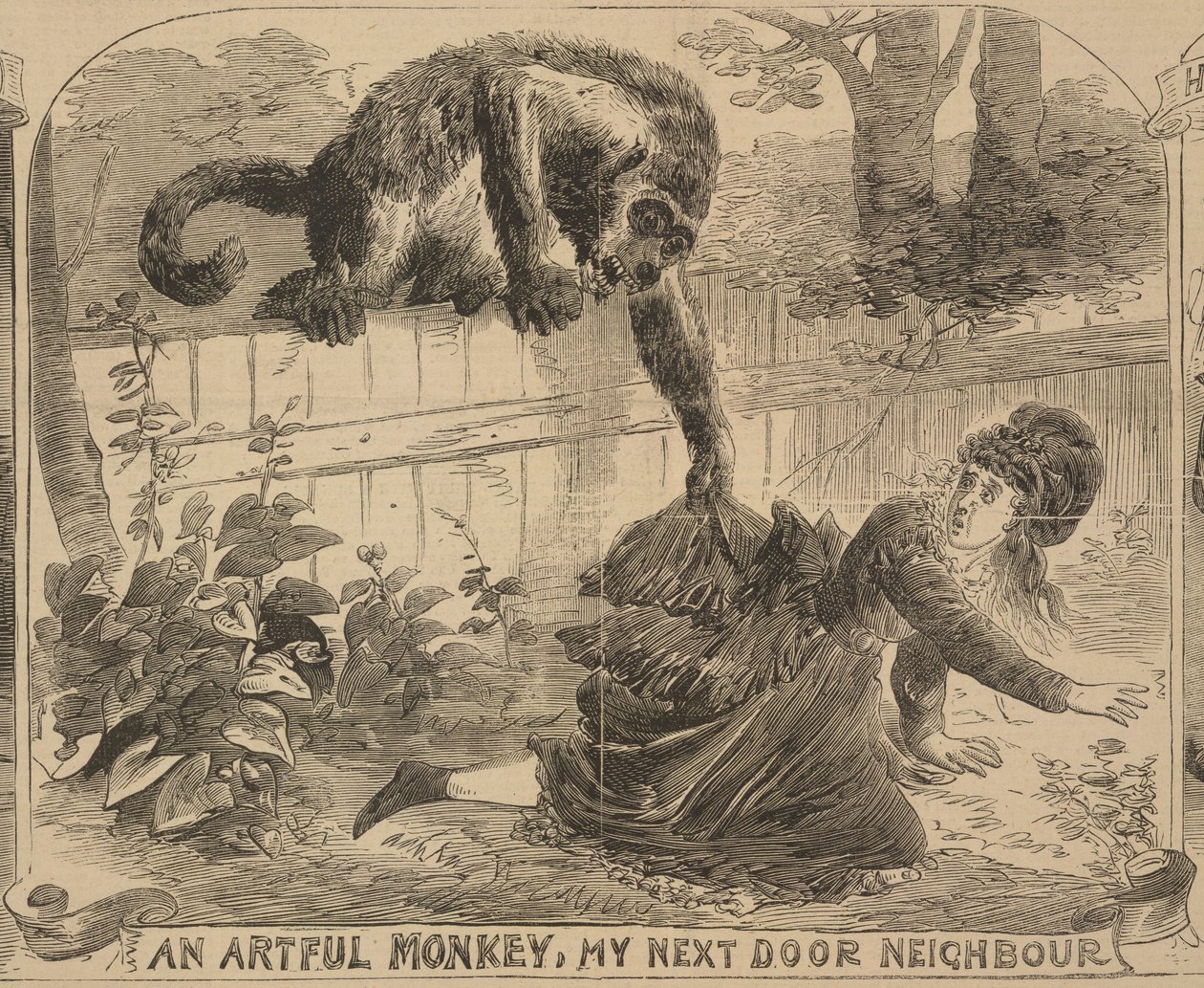 „An Artful Monkey, My Next Door Neighbour“, ilustrace z „Illustrated Police News“, 24. srpna 1872 (litho) od English School