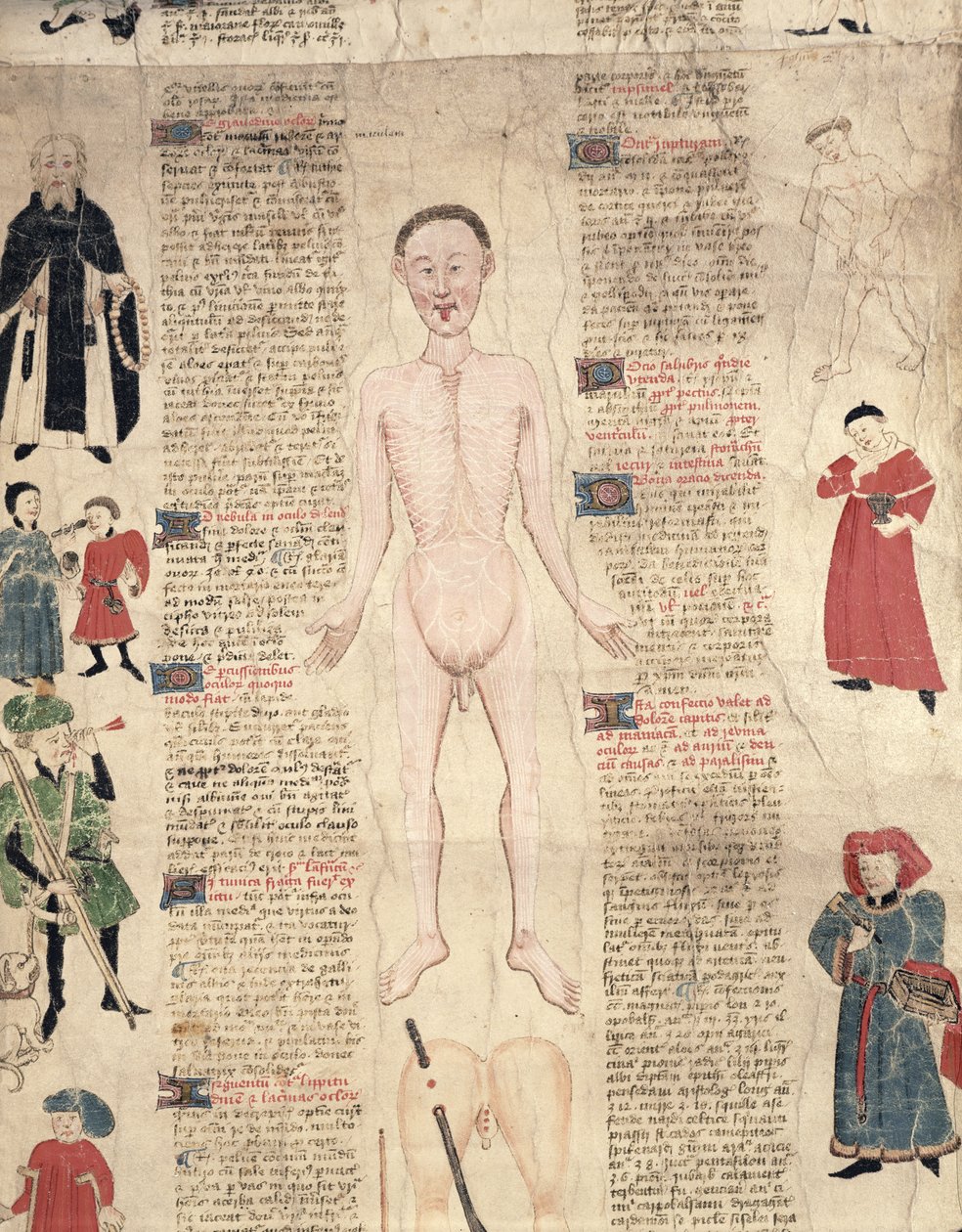 Anatomické schéma z knihy De arte phisicali e de cirugia od Johna Ardena, 1412. od English School