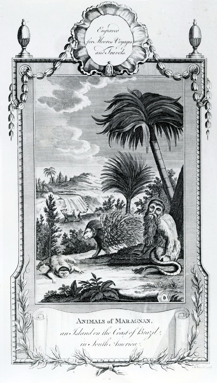 Zvířata z Maragnanu, ilustrace převzata z Moores Voyages and Travels, 1778 od English School