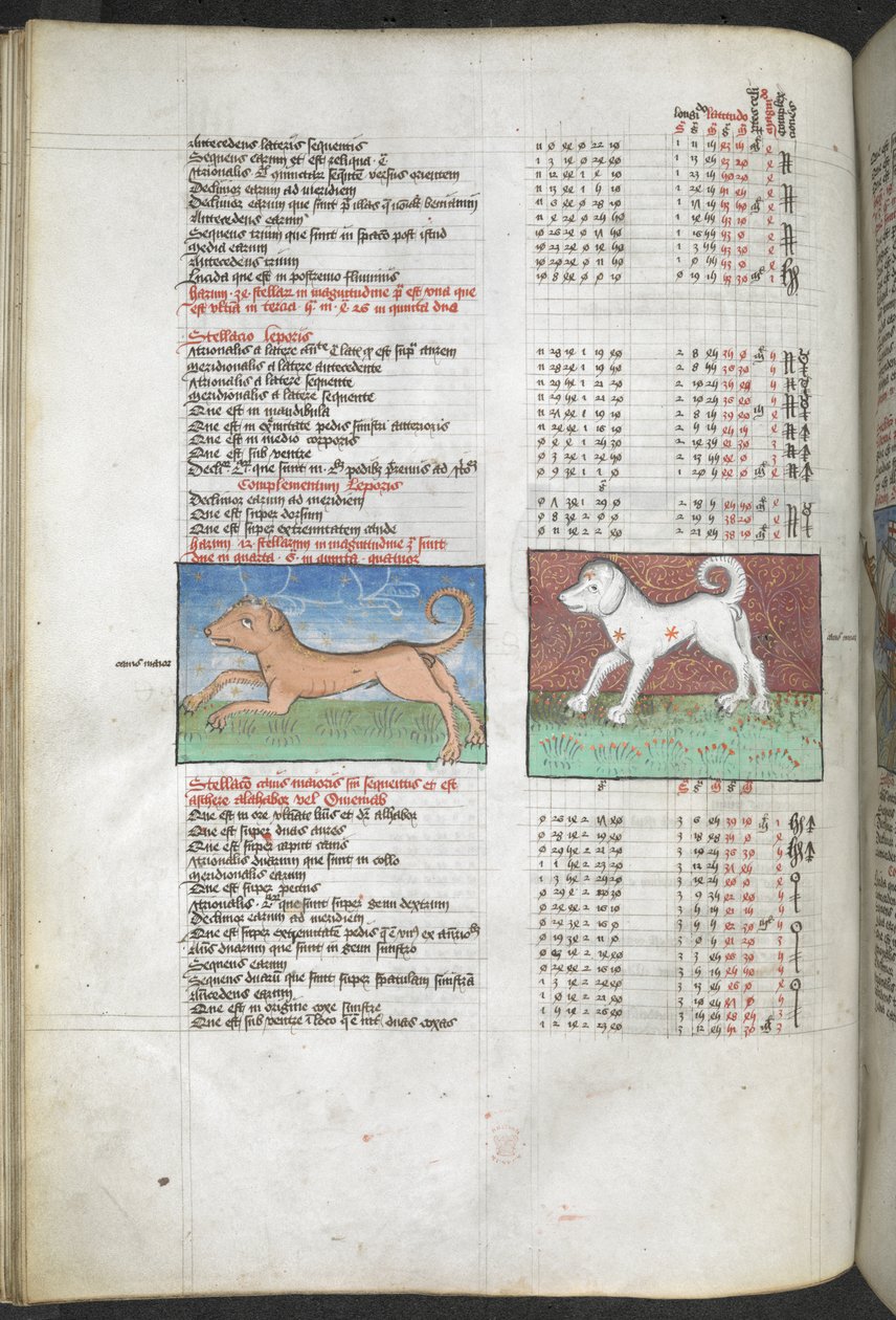 Arundel MS 66 f.44v Canis maior a Canis minor vyobrazení jako psi 