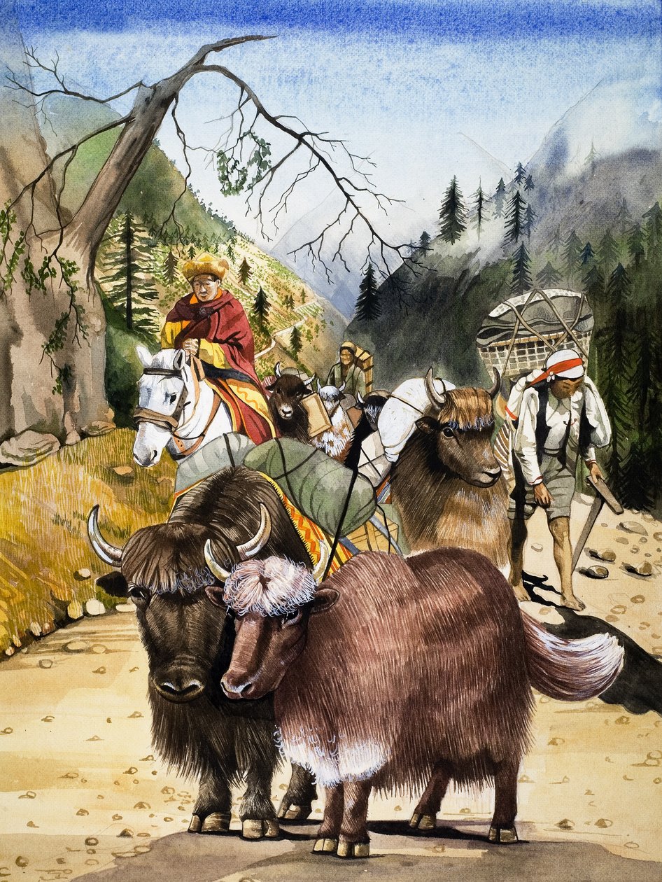 Zvířata, ilustrace z knihy "Království přírody od English School