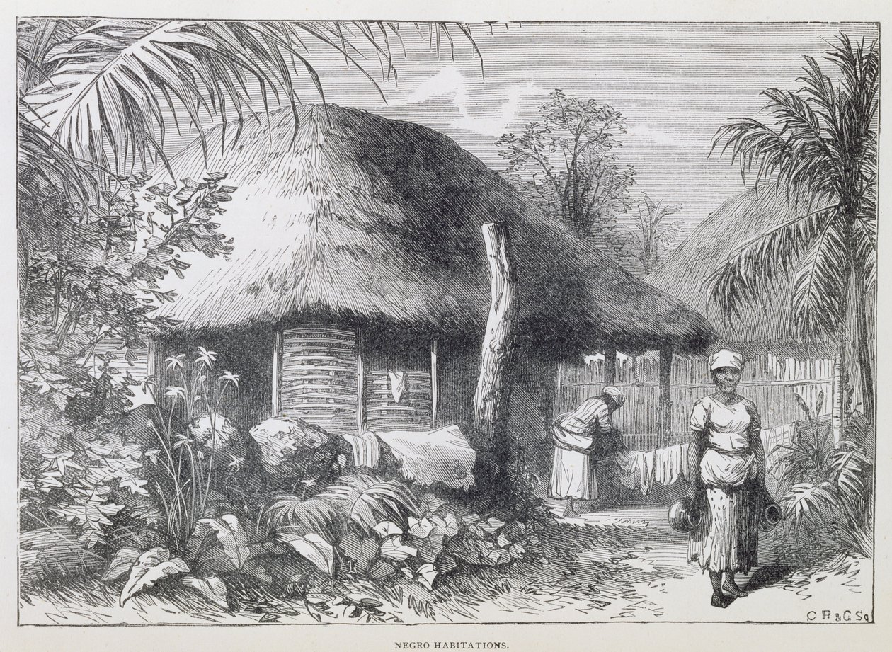 Black Habitations, z 