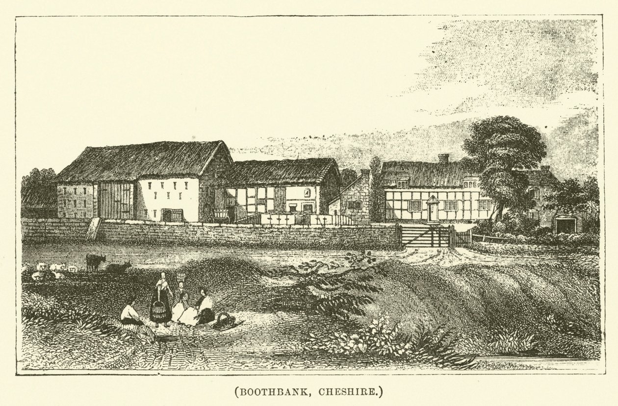 Boothbank, Cheshire (rytina) od English School