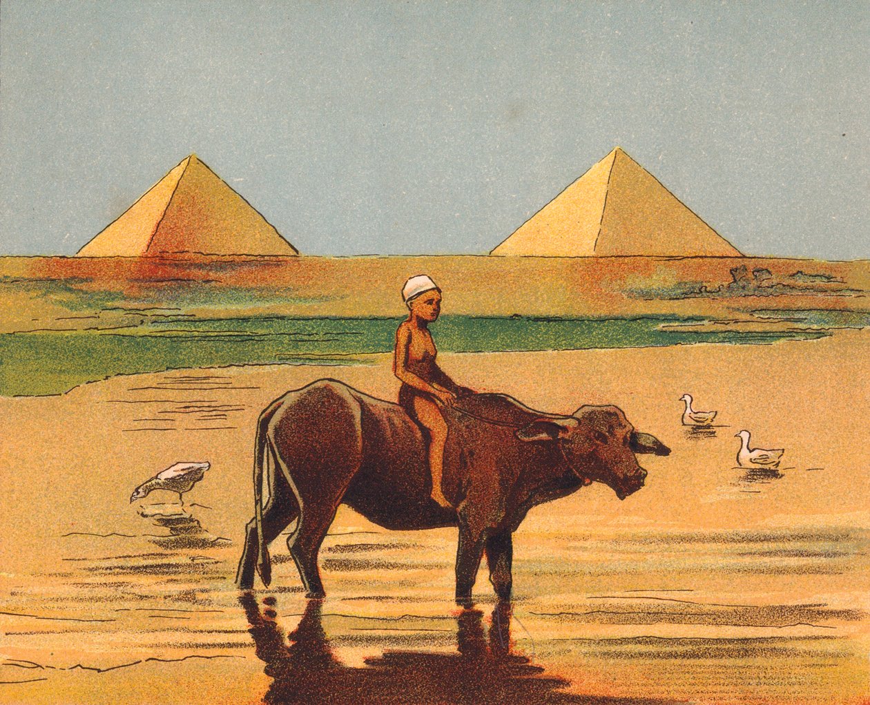 Chlapec jedoucí na volovi před pyramidami, Egypt (barevná litografie) od English School