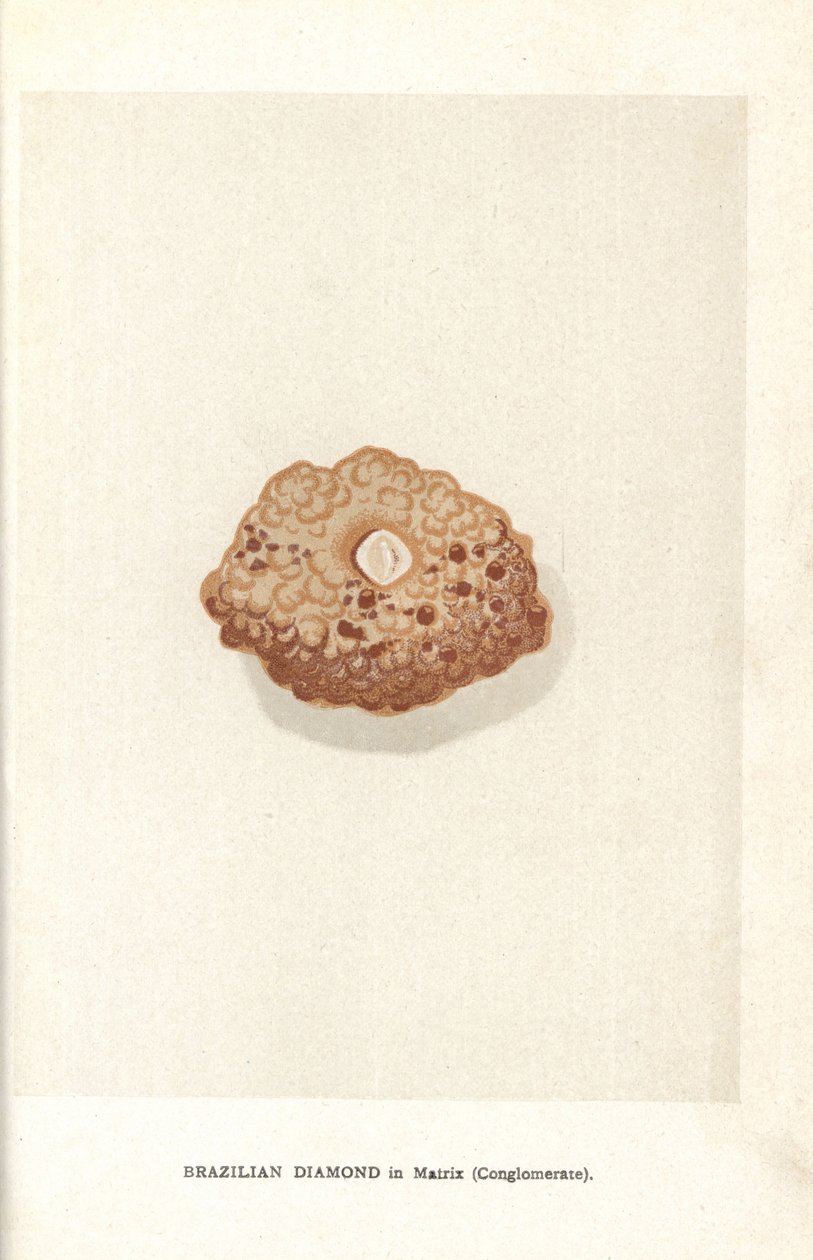 Brazilský diamant v matrici (konglomerát), z Edwina Streetera „Precious Stones and Gems“, Londýn, George Bell & Sons od English School