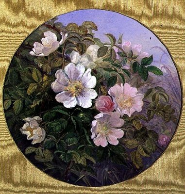 Briar Roses, cca 1890 (akvarel na papíře) od English School