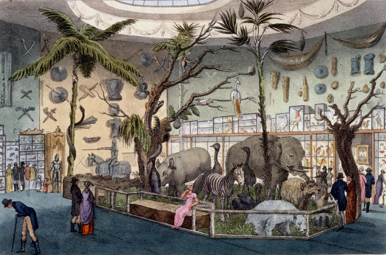 Bullocks Museum, 22 Piccadilly, Londýn, z Ackermanns Repository of Arts, 1809 od English School