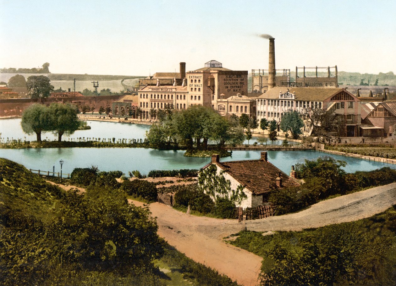 Burroughs, Wellcome & Company Factory, Dartford (ručně kolorovaná fotografie) od English School