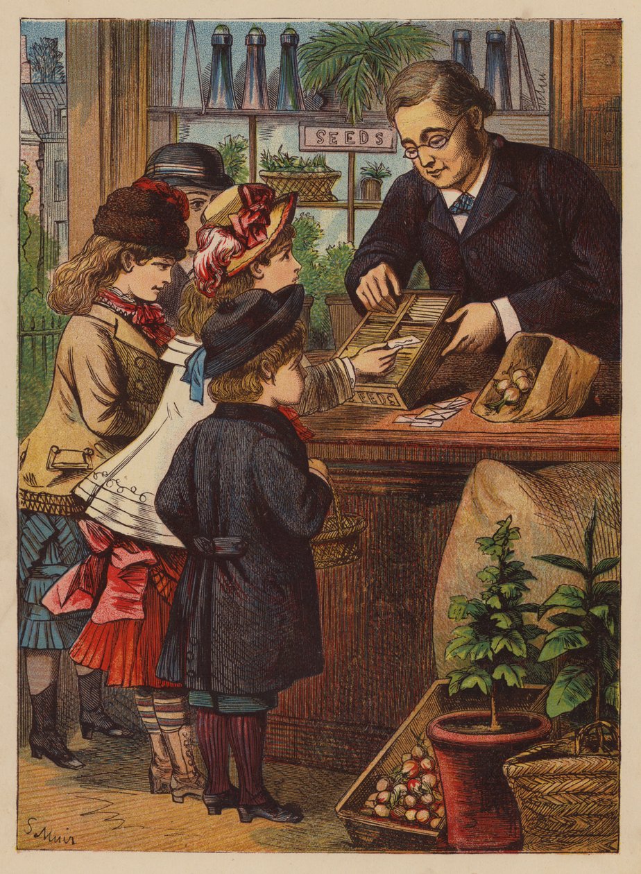 Nákup semen (barevná litografie) od English School