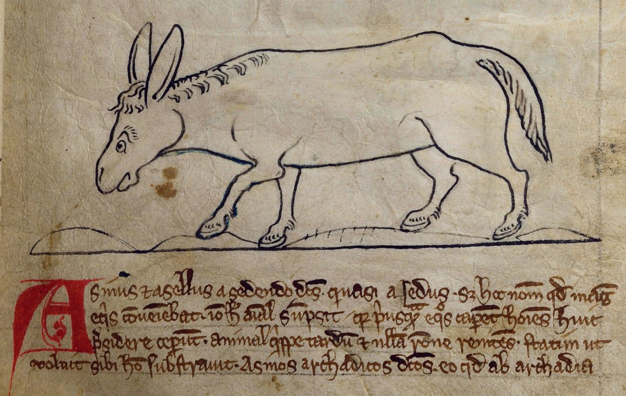 CCA-LitMs/D/10 fol. 10r Zadek, z Bestiáře od English School