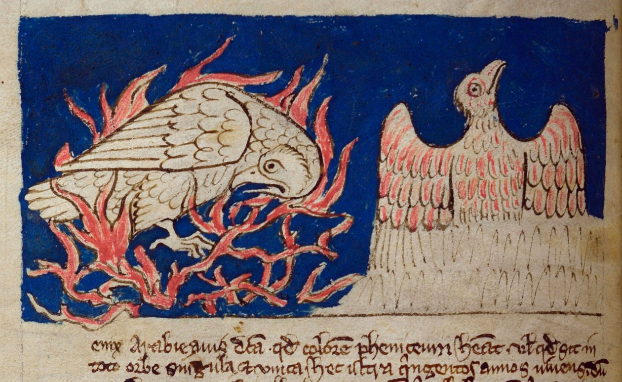 CCA-LitMs/D/10 fol. 17v Pheonix, od Bestiary od English School