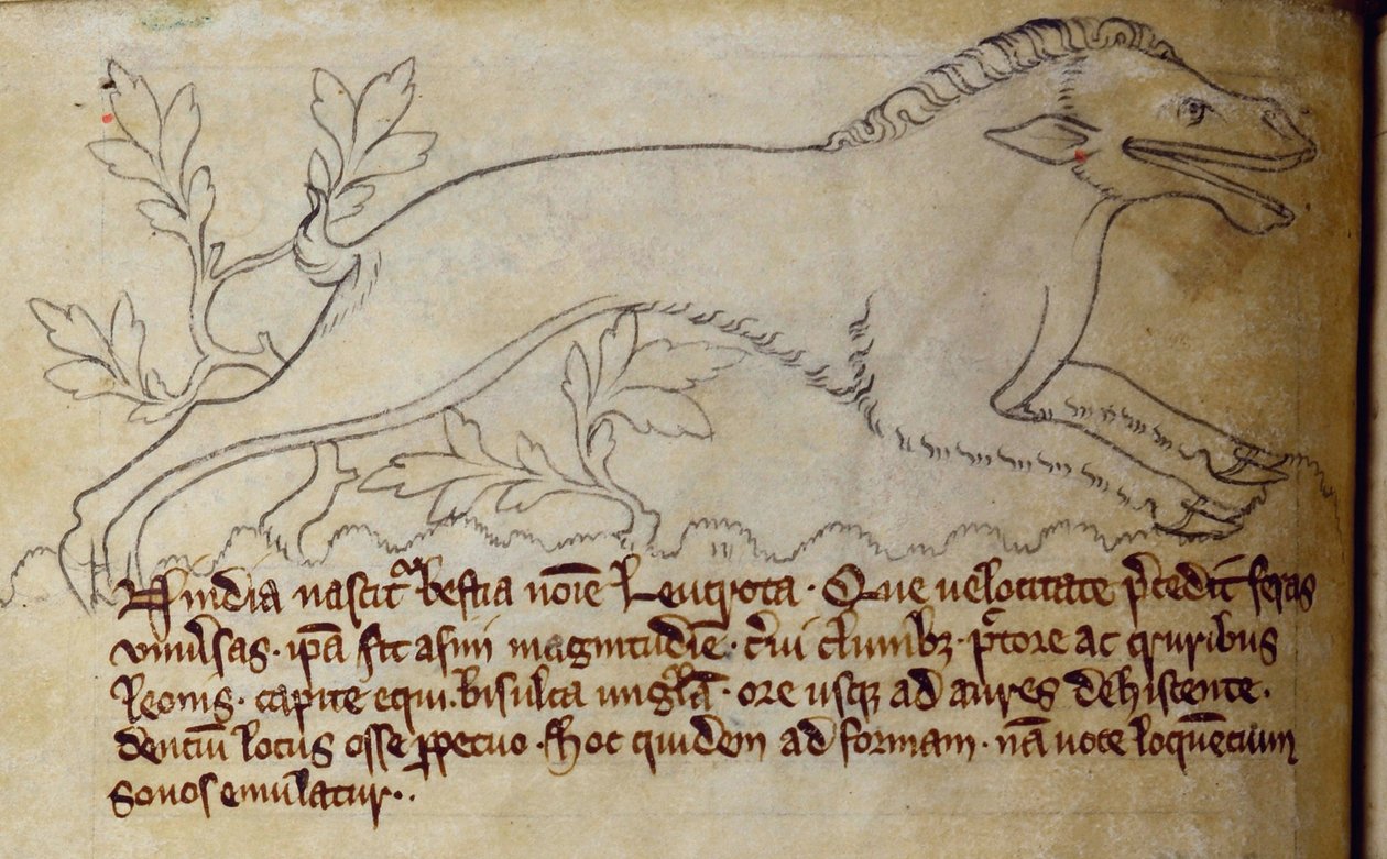 CCA-LitMs/D/10 fol. 3v Leucrota, z Bestiáře od English School