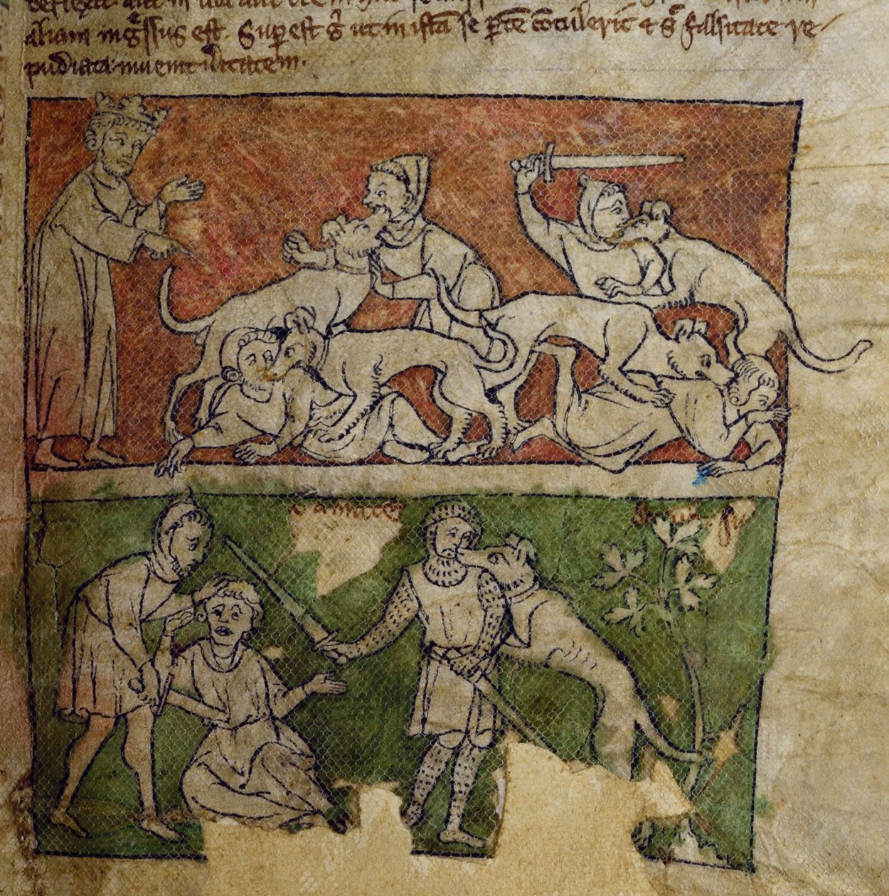 CCA-LitMs/D/10 fol. 6r Pes, z Bestiáře od English School