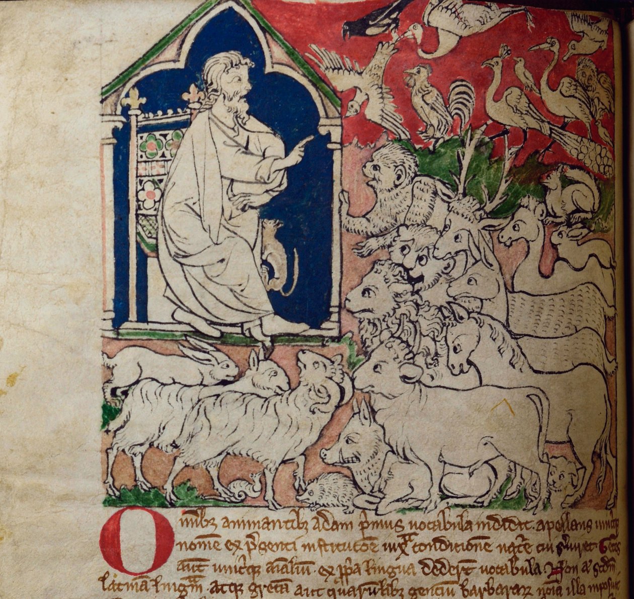 CCA-LitMs/D/10 fol. 7v Adam, z Bestiáře od English School