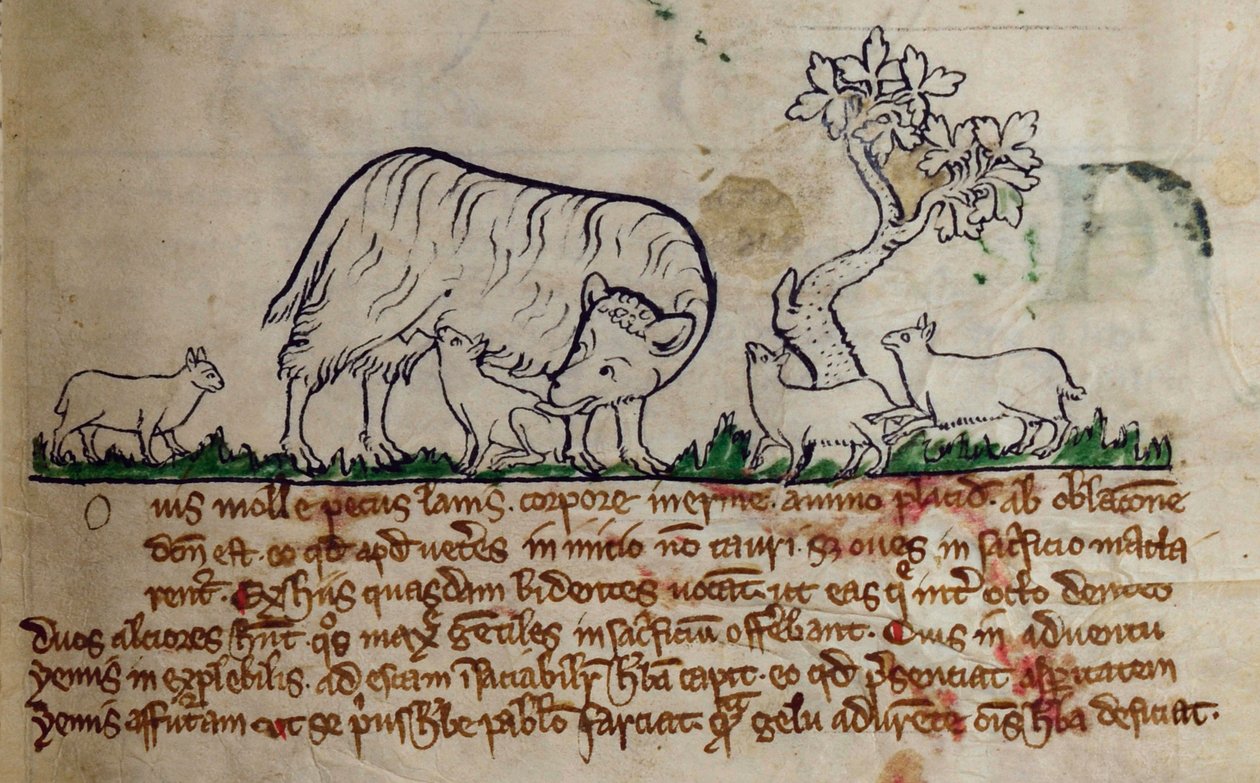 CCA-LitMs/D/10 fol. 8r Ovce, z Bestiáře od English School