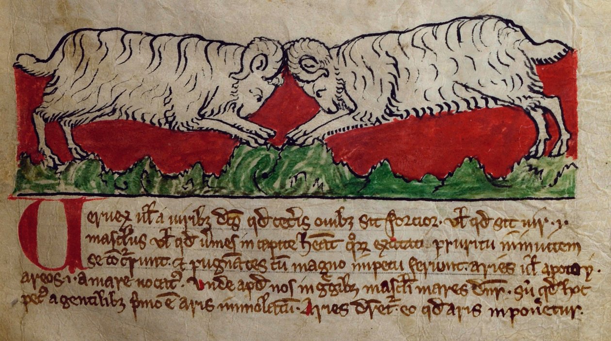 CCA-LitMs/D/10 fol. 8r Wether, z Bestiáře od English School