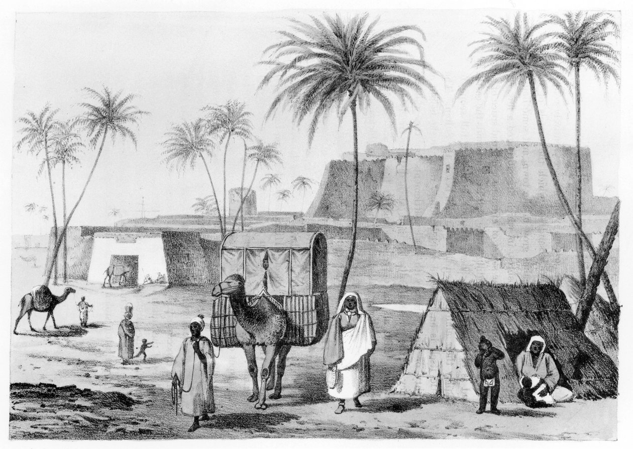 Velbloudí podestýlka v Morzouku v libyjském Fezzanu z Narrative of Travels in Northern Africa od G.F. Lyon, publikoval 1821 od English School