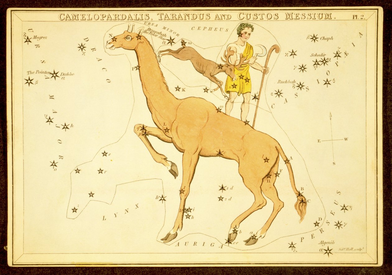 Camelopardalis, Tarandus a Custos Messium, hospoda. 1825 (ručně kolorovaná rytina) od English School