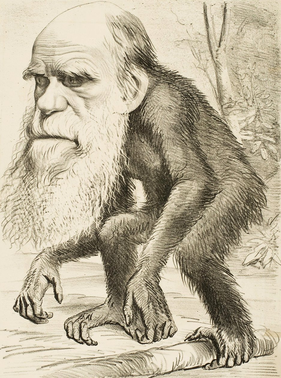 Karikatura Charlese Darwina od English School