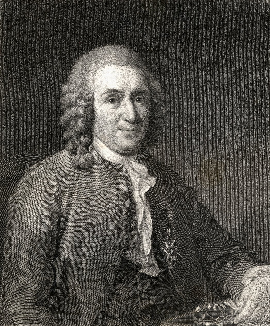 Carl von Linne nebo Linné (1707-78) z Galerie portrétů, vydané v roce 1833 od English School