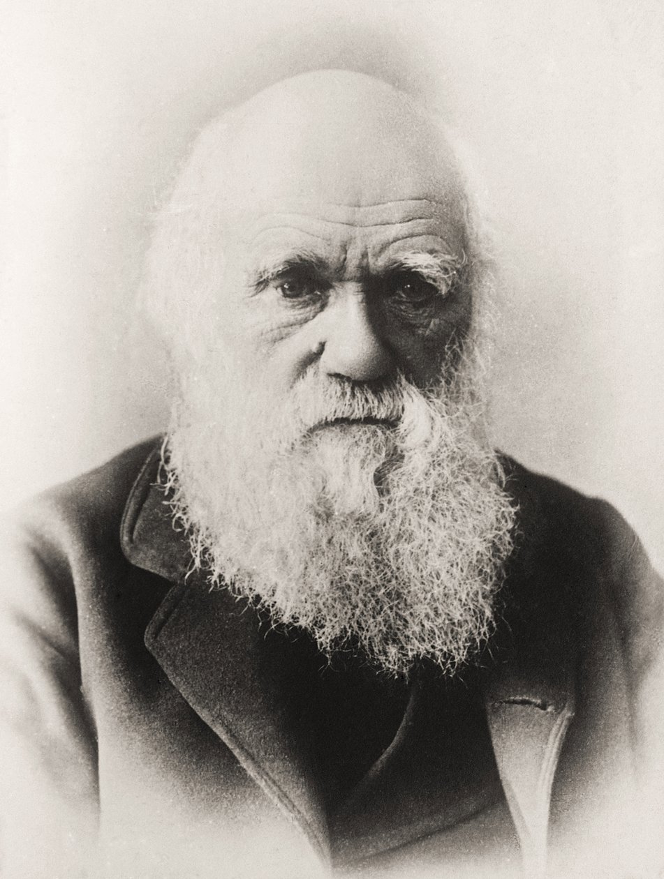 Charles Darwin od English School
