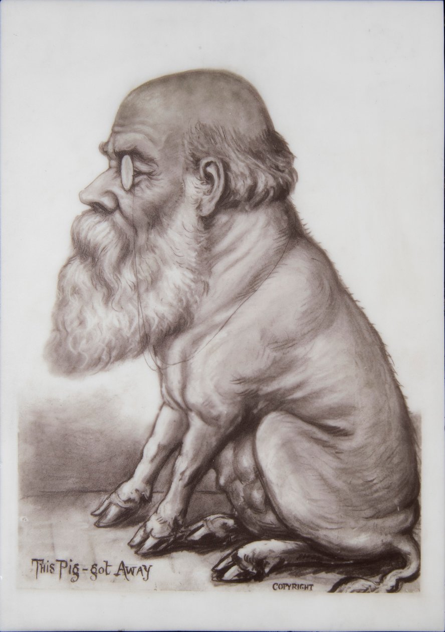 Deska Charlese Darwina, cca 1870 (keramika) od English School