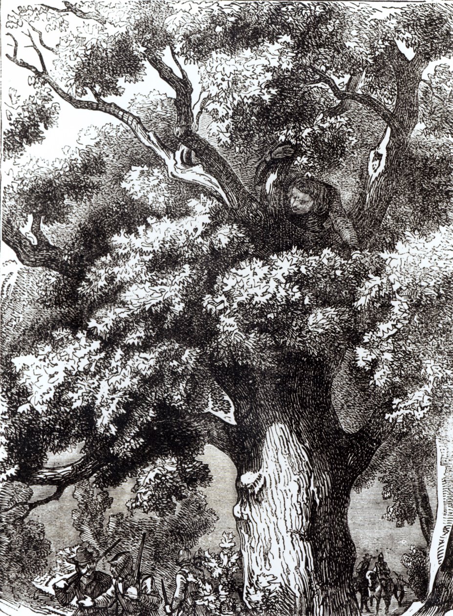 Karel II. (1630-85) ukrytý v dubu, 14. října 1651 od English School