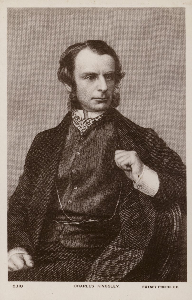 Charles Kingsley (1819-1875), anglický duchovní, historik a spisovatel (litografie) od English School