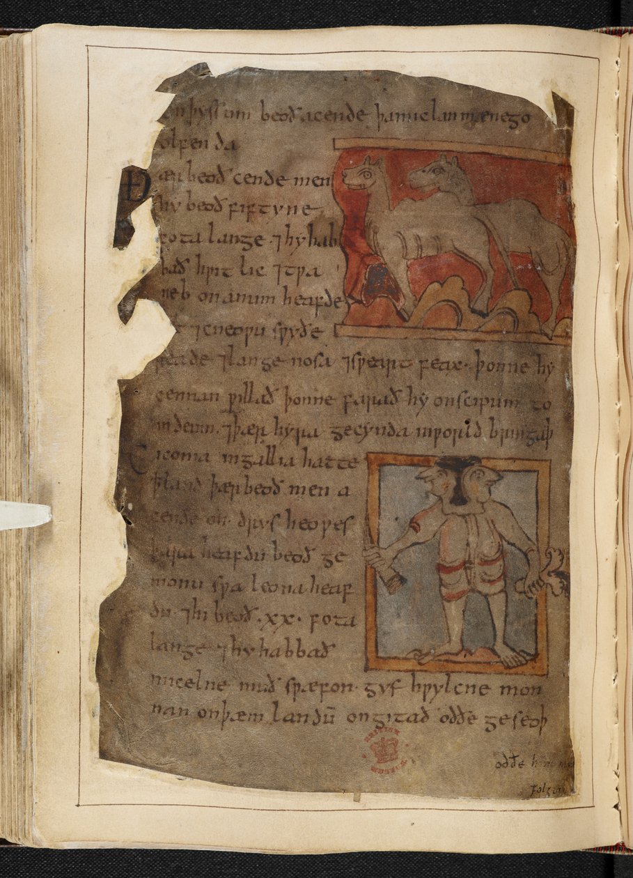 Bavlna MS Vitellius A XV f.101v, Beowulf, z „Nowellova kodexu“ (inkoust na pergamenu) od English School