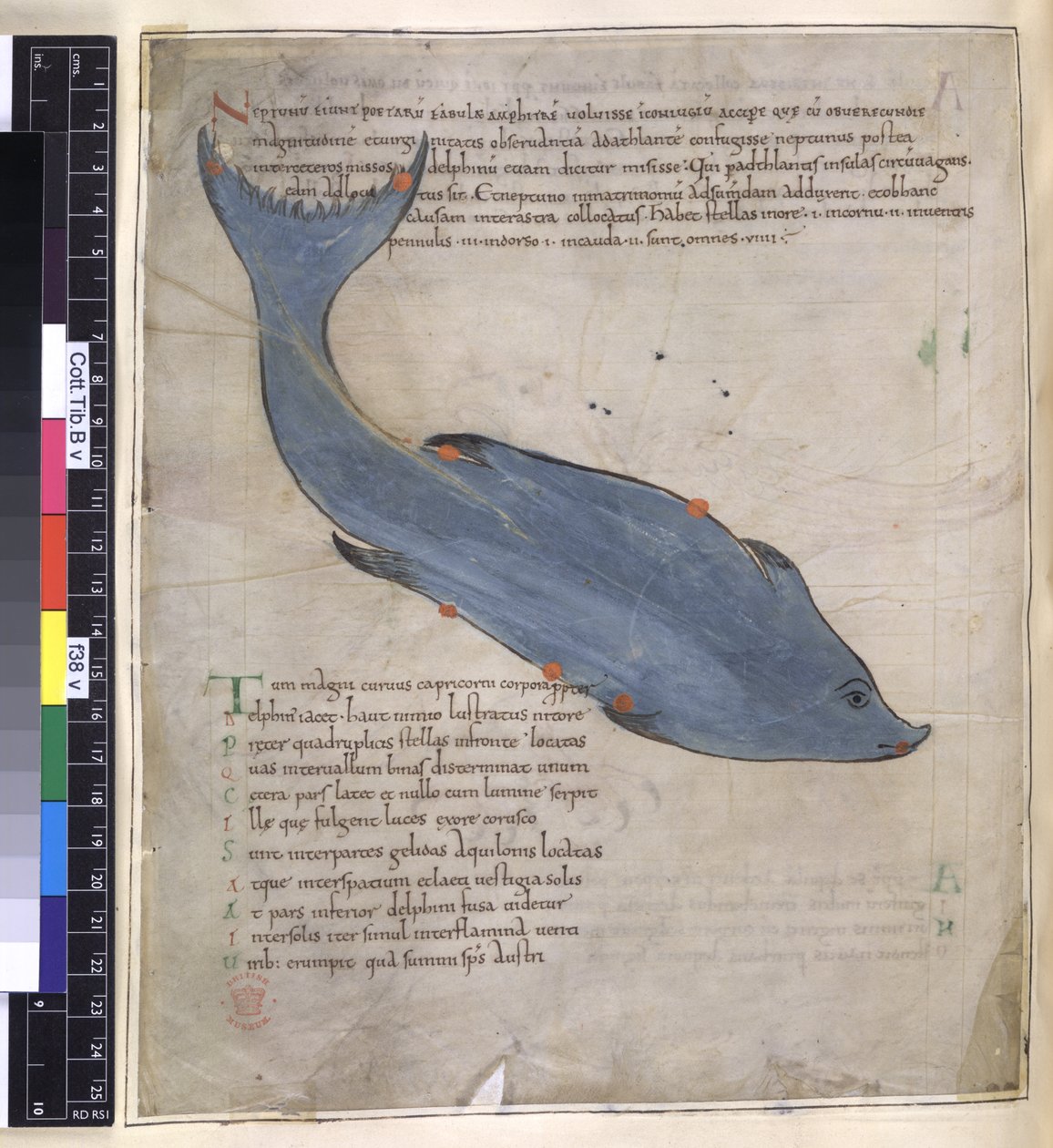 Bavlna Tiberius B. V, Část I fol. 38v Souhvězdí Delphina z „Ciceronova Aratu“ od English School
