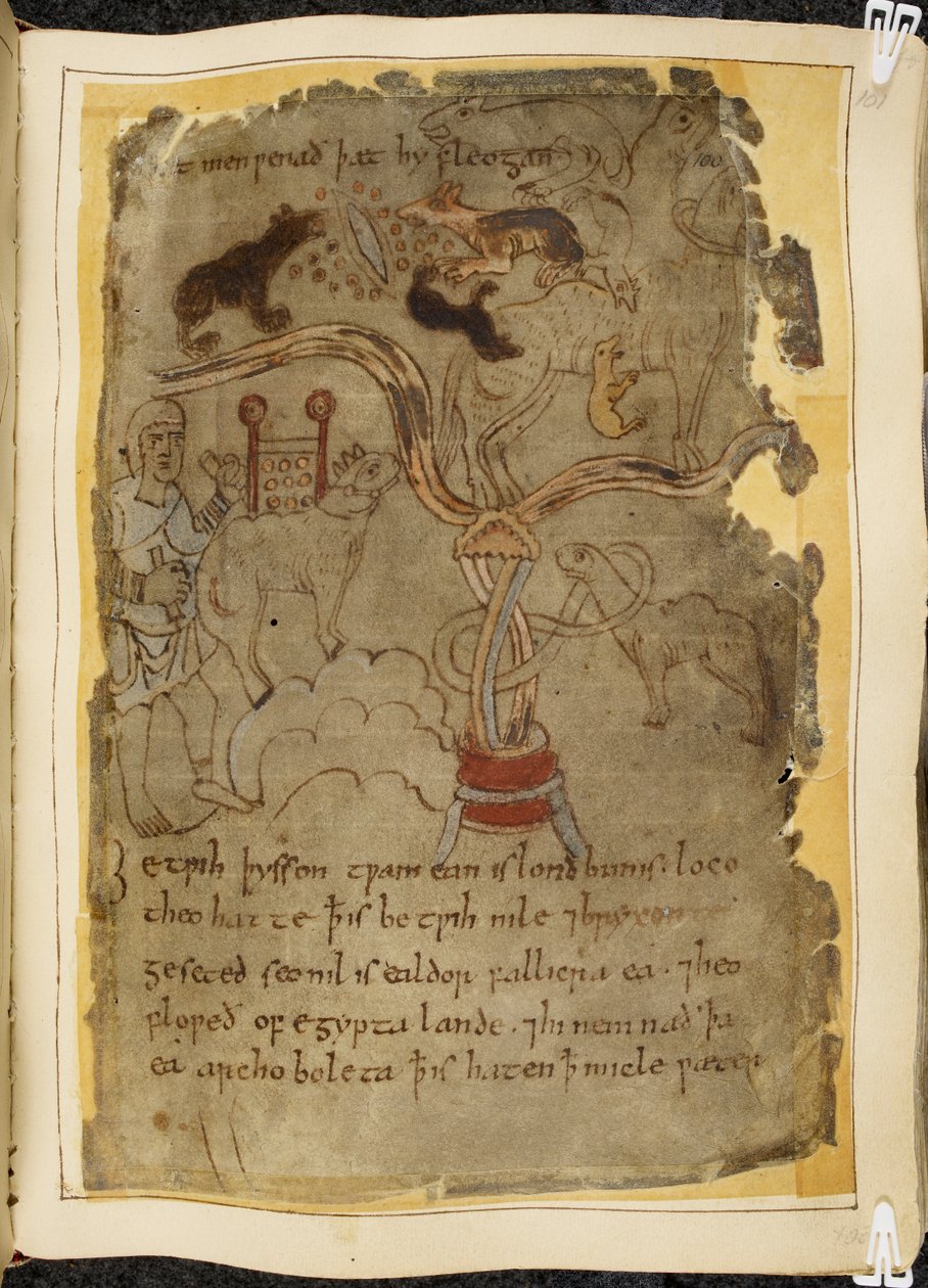 Cotton Vitellius A. XV, f.101r, Tři psí mravenci útočící na uvázaného velblouda, muž v tunice, ilustrace od Beowulfa, z 
