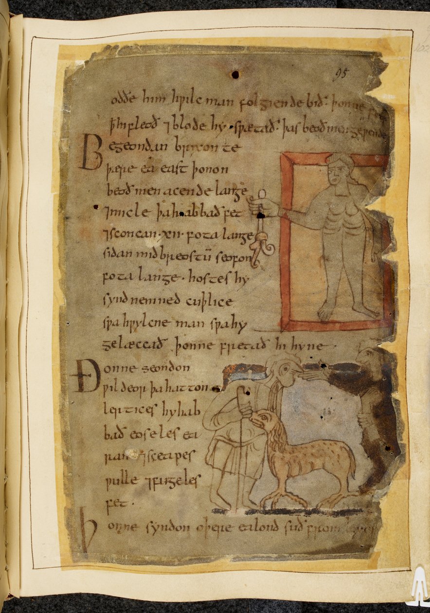 Bavlna Vitellius A. XV, f.102, Nahý muž držící rostlinu; mluví dva muži a mezi nimi lertix, zvíře podobné ovci, ilustrace z Beowulfa, z „Nowellova kodexu“ (inkoust na pergamenu) od English School
