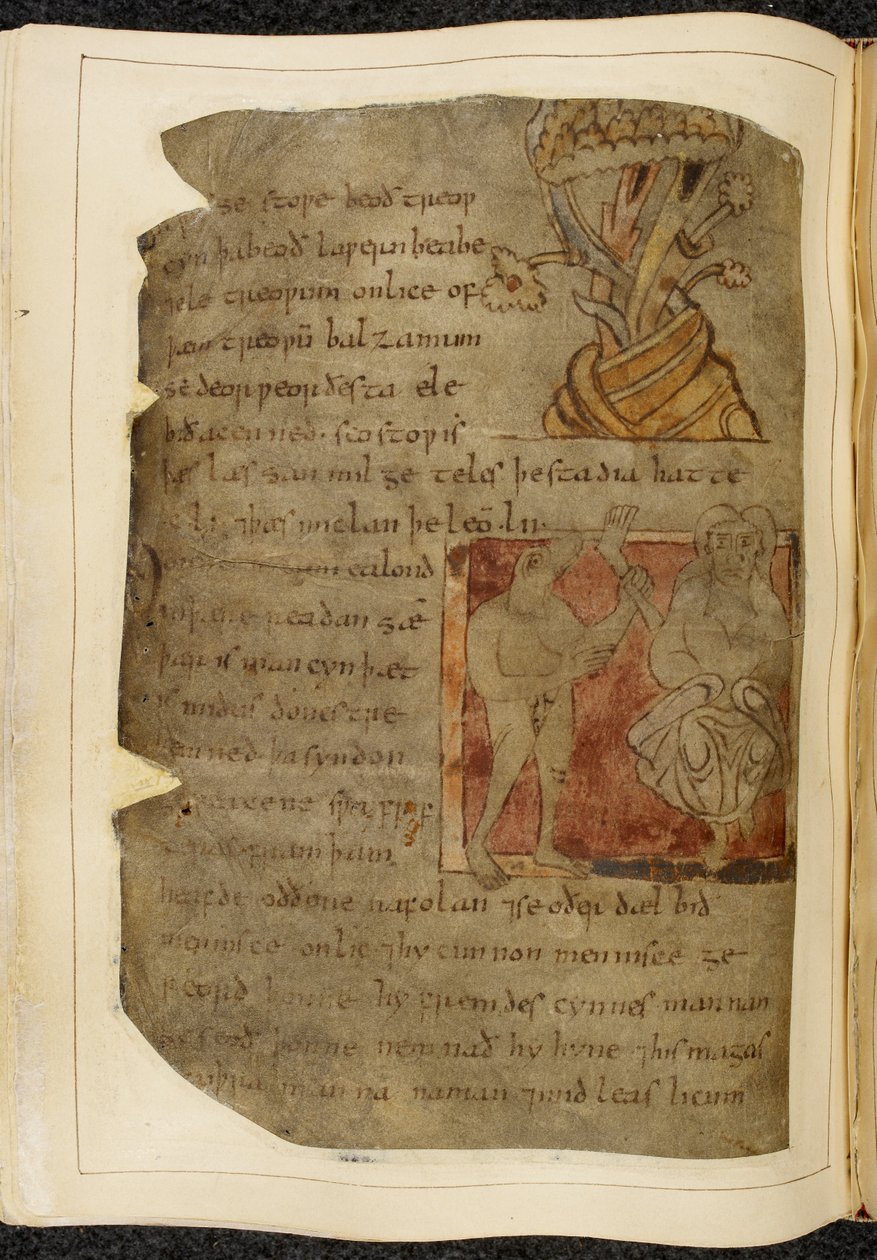 Bavlník Vitellius A. XV f.103v, Strom, ze kterého roste balzám; donestre, muž se zvířecí hlavou, vlevo držící lidskou nohu a chodidlo, a osoba vpravo, ilustrace od Beowulfa, z „Nowellova kodexu“ (inkoust na pergamenu) od English School