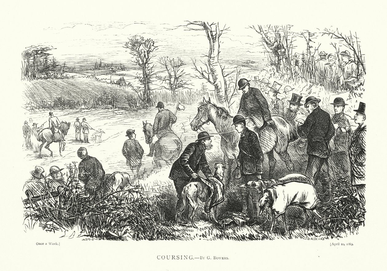 Coursing (rytí) od English School